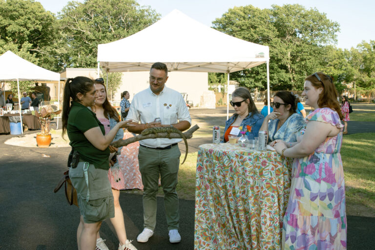 Franklin Park Zoo Event Petting Zoo